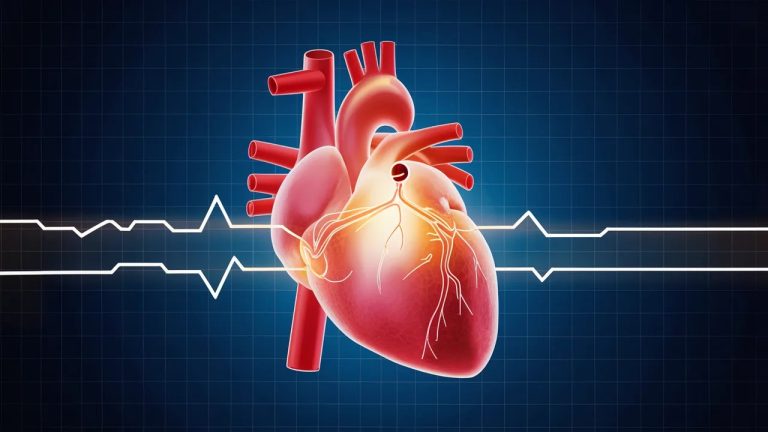 Innovationsfr   Explorez le Futur Tech  Impact Sociétal   Page 39   Innovationsfr