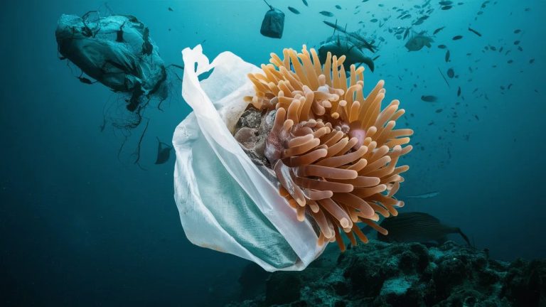 Innovationsfr   Explorez le Futur Tech  Impact Sociétal   Innovationsfr