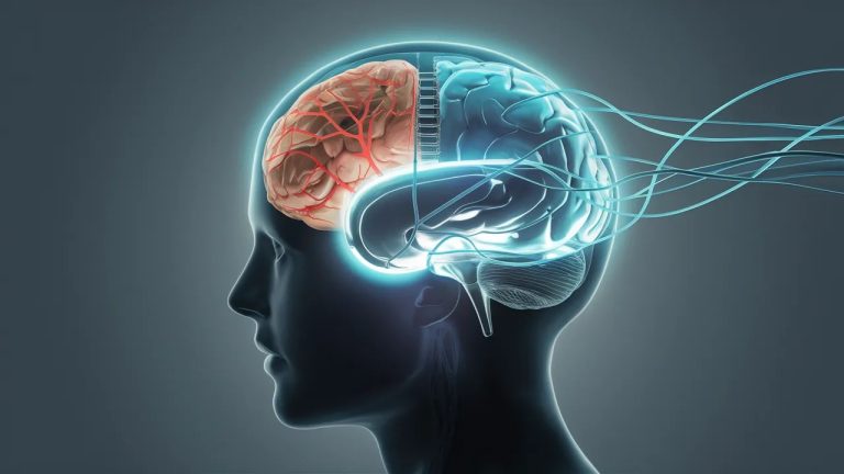 Innovationsfr   Explorez le Futur Tech  Impact Sociétal   Page 1310   Innovationsfr