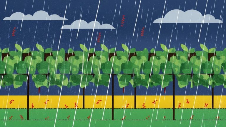 Innovationsfr   Explorez le Futur Tech  Impact Sociétal   Page 1289   Innovationsfr