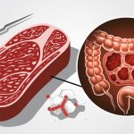 Lien incontestable entre viande rouge et cancer colorectal identifié Innovationsfr