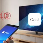 Birdfy révolutionne le bain doiseaux avec son premier bain connecté   Innovationsfr