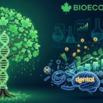 Les caméras des robotaxis Waymo capturent un suspect de vandalisme   Innovationsfr