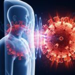 Le New Yorker Se Modernise Enfin  Une Révolution    Innovationsfr