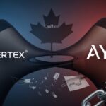 Swiggy révolutionne le e commerce avec Minis   Innovationsfr